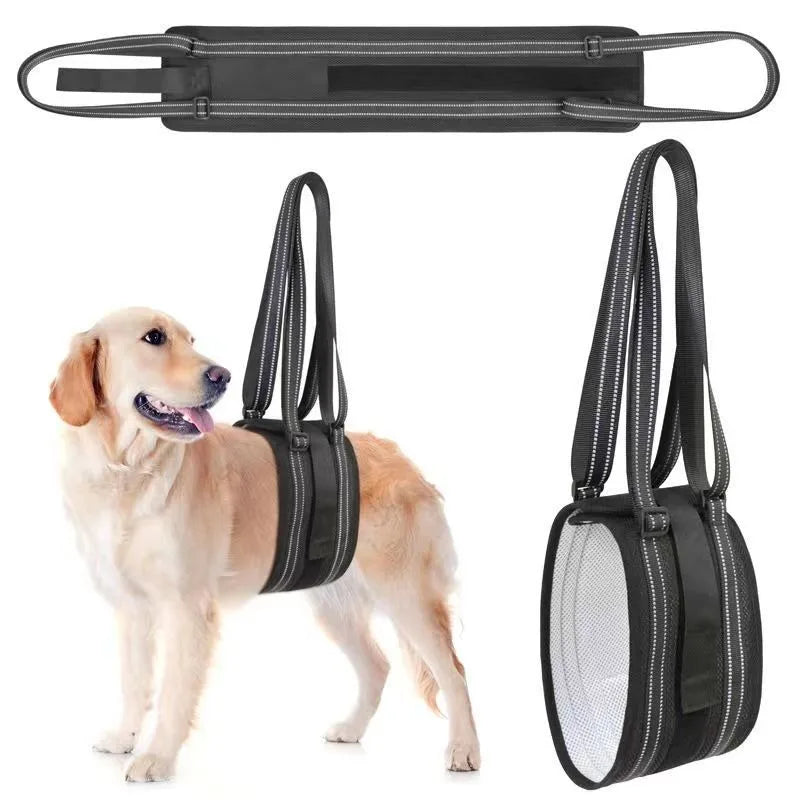 Soutien de pattes  arrière pour chien handicapé