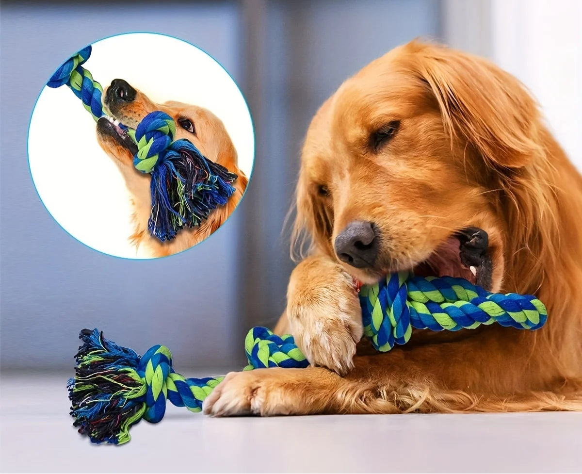 Jouet Solide pour Chien – Nœud et Traction - Nos Poilus