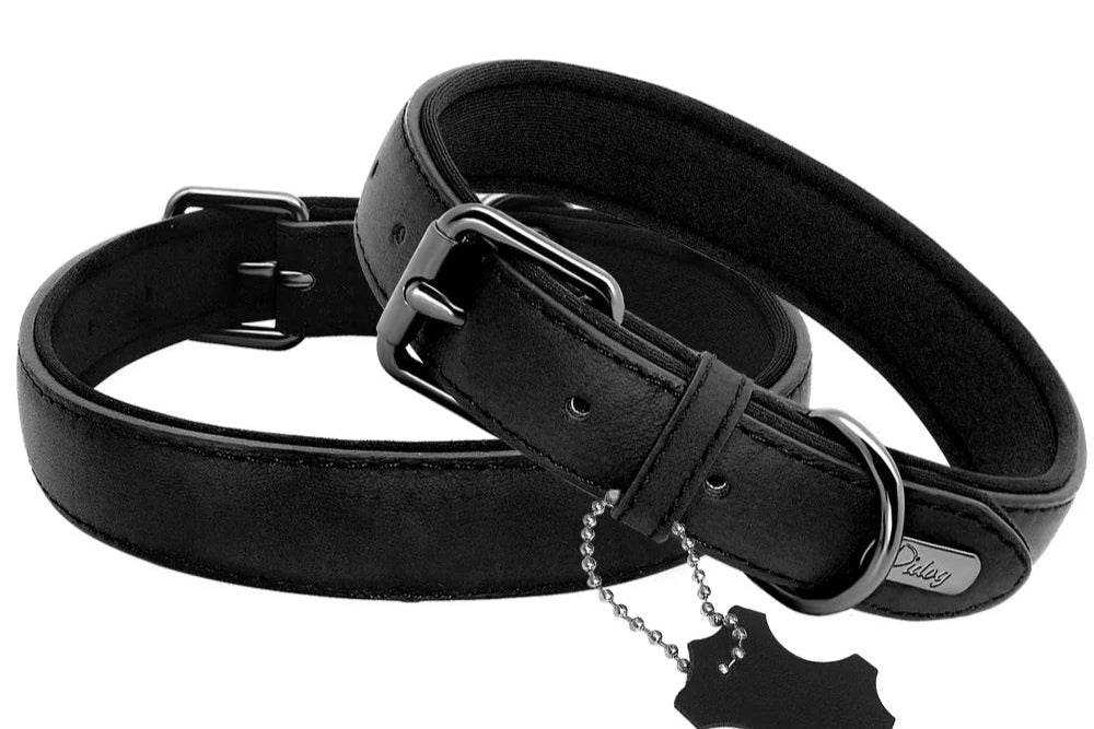 Collier de chien rembourré en cuir souple confortable