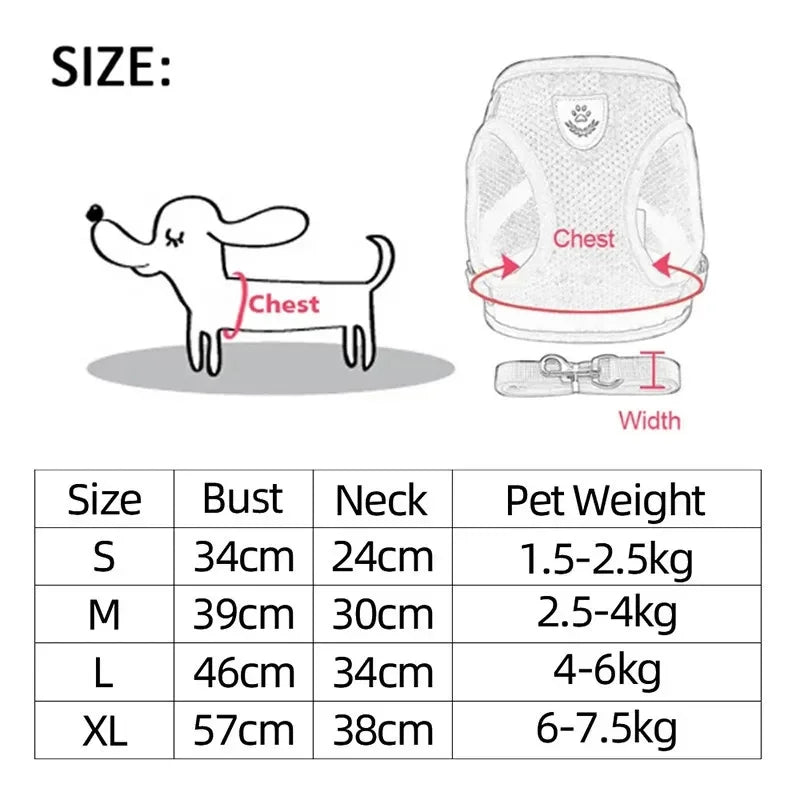 Harnais Confortable pour Chiens de Petite Taille - Nos Poilus