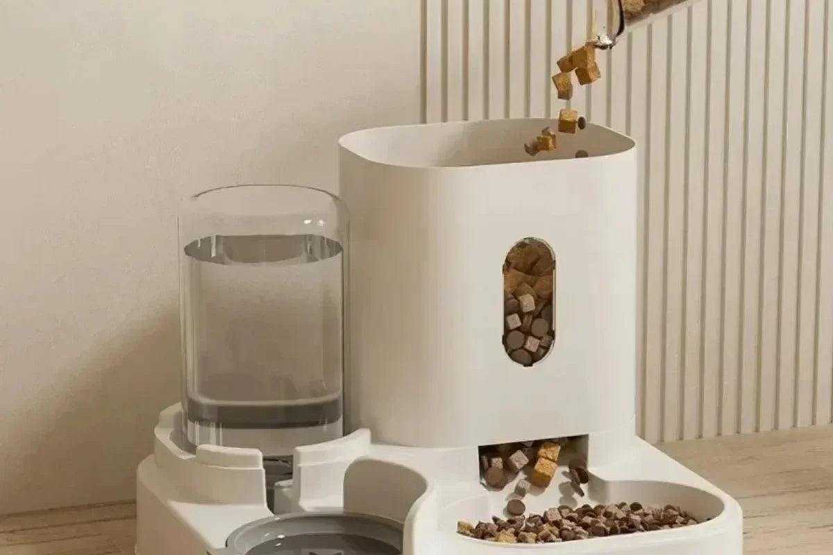Distributeur de croquettes et fontaine à eau, alimentation par gravité, entretien facile