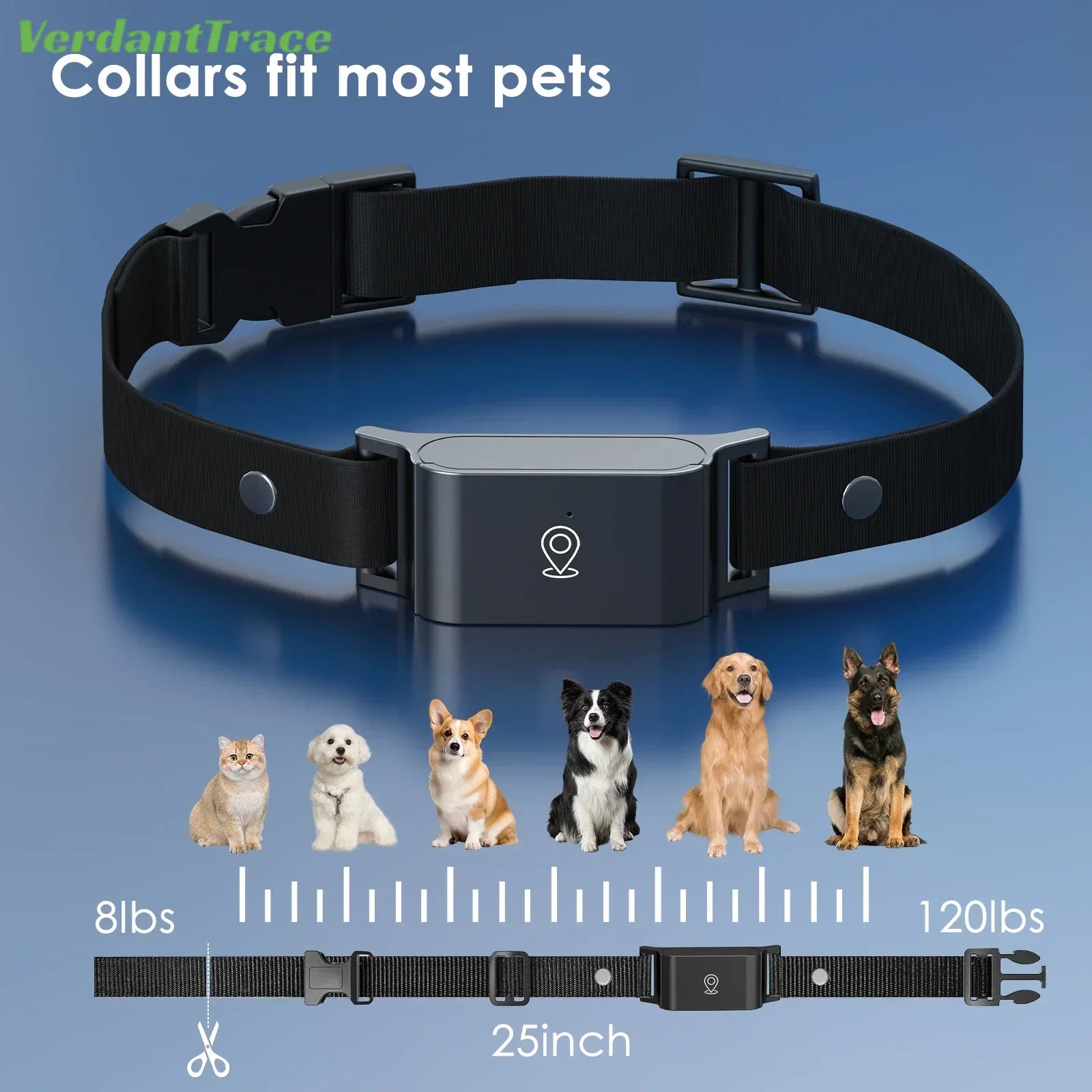 GPS Chien Étanche – Suivi 4G en Direct - Nos Poilus