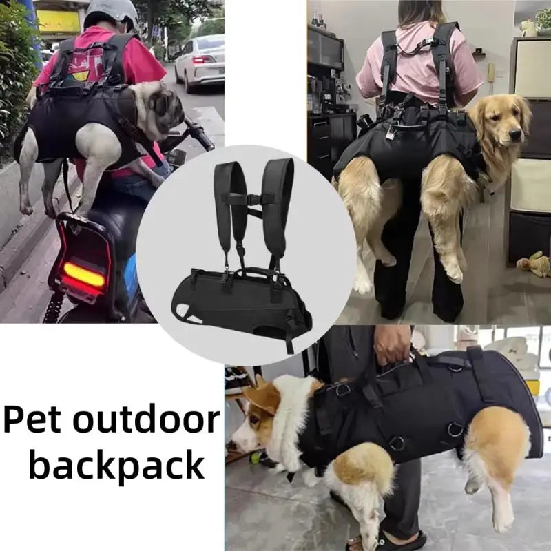Sac pour porter un chien 