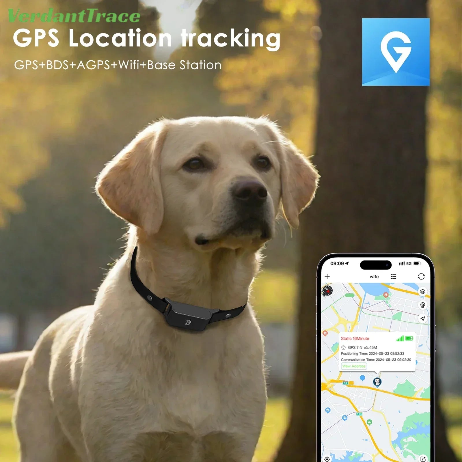GPS Chien Étanche – Suivi 4G en Direct - Nos Poilus