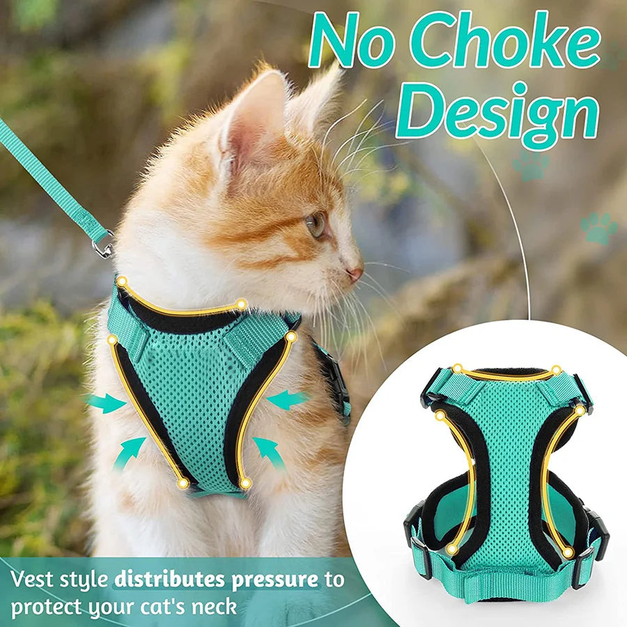 promenade securise pour votre chat  avec ce harnais