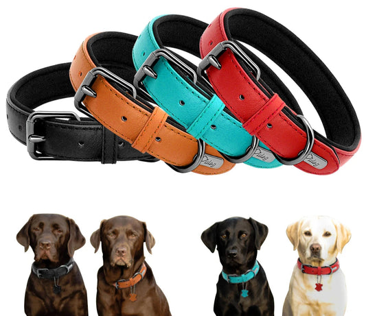 Collier de chien rembourré en cuir souple confortable