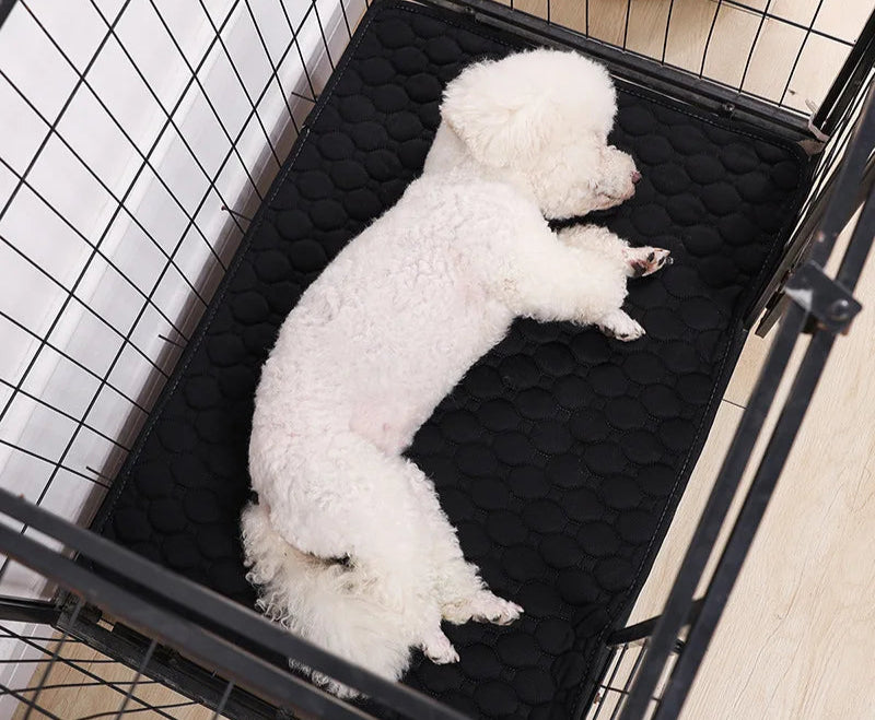Tapis Absorbant Réutilisable – Chien Senior - Nos Poilus