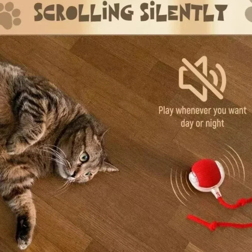 Balle Ludique Intelligente – Chiot et Chaton - Nos Poilus
