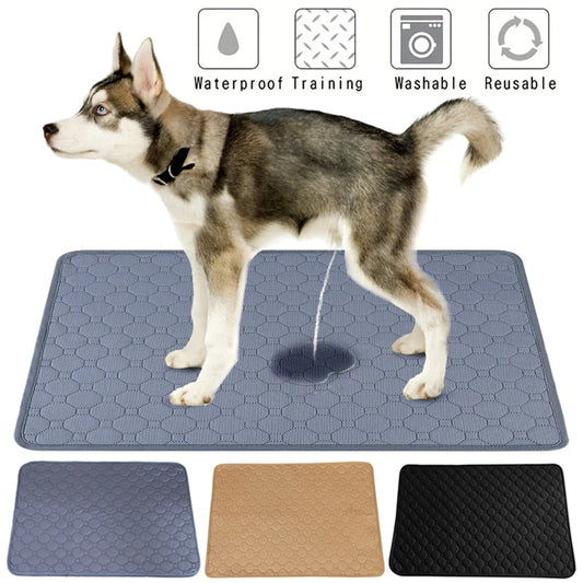 Tapis Absorbant Réutilisable – Chien Senior - Nos Poilus