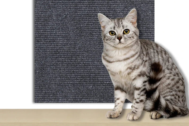 accessoire chat, tapis anti-griffures, auto-adhésif