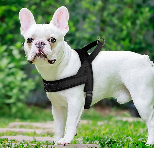 Harnais rembourré doux réglable pour petit chien