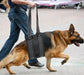 Soutien de pattes  arrière pour chien handicapé