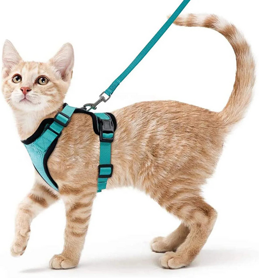 HARNAIS POUR CHAT 