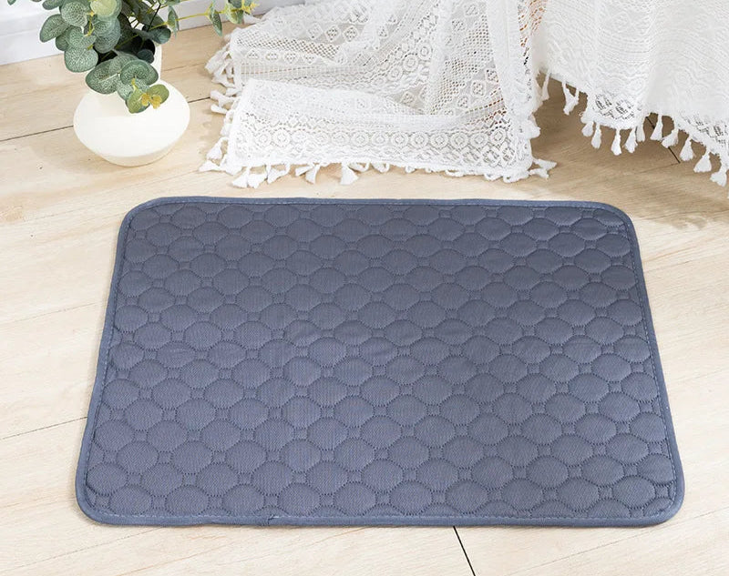 Tapis Absorbant Réutilisable – Chien Senior - Nos Poilus