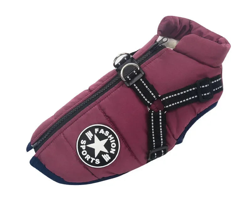 Manteau d’Hiver Doublé – Protection Chien Froid - Nos Poilus