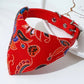 Collier Banbana réglable pour animaux de compagnie,