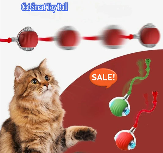Balle Ludique Intelligente – Chiot et Chaton - Nos Poilus