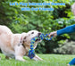 Jouet Solide pour Chien – Nœud et Traction - Nos Poilus