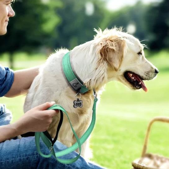 Colliers rembourrés réfléchissants  pour petits, moyens et grands chiens,