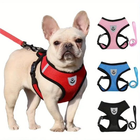 Harnais Confortable pour Chiens de Petite Taille - Nos Poilus