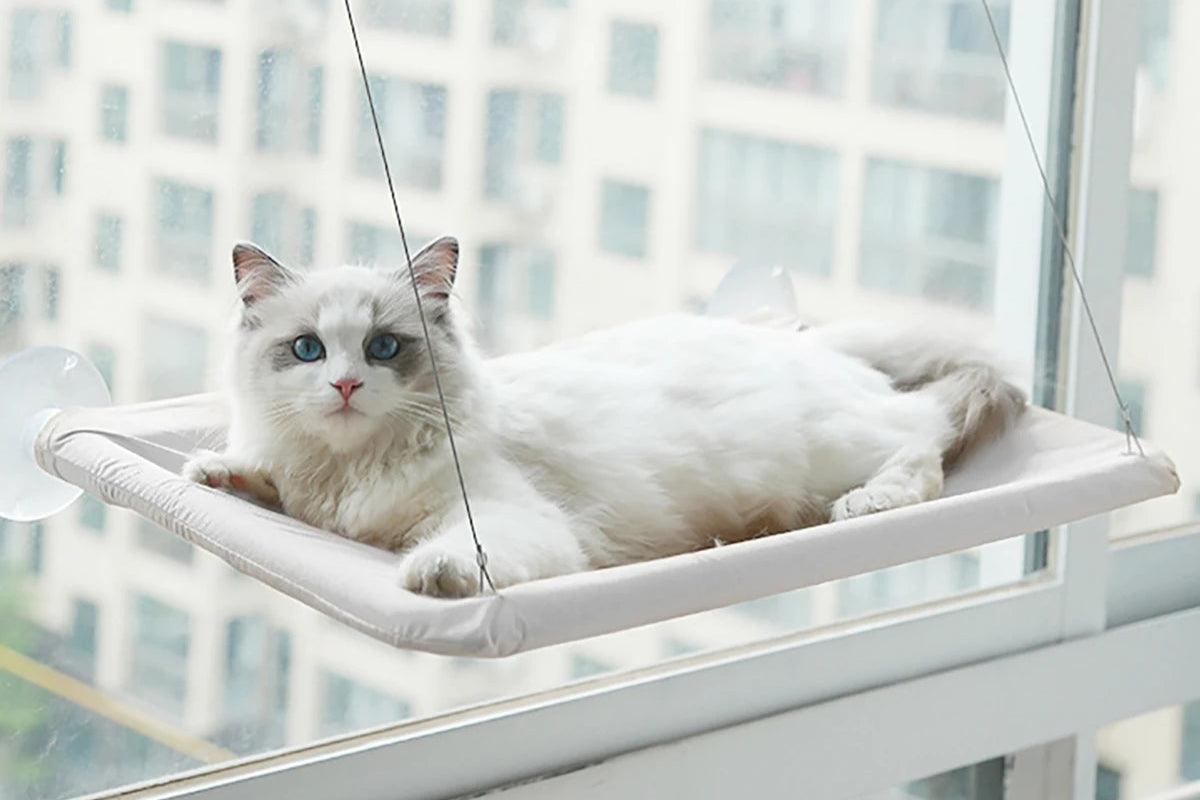 lit hamac de fenêtre pour chat avec ventouses haute adhérence, siège confortable supporte 20kg
