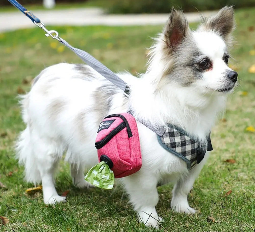 Sacs à Crottes Chien en promenade -Nos Poilus
