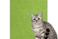 accessoire chat, tapis anti-griffures, auto-adhésif