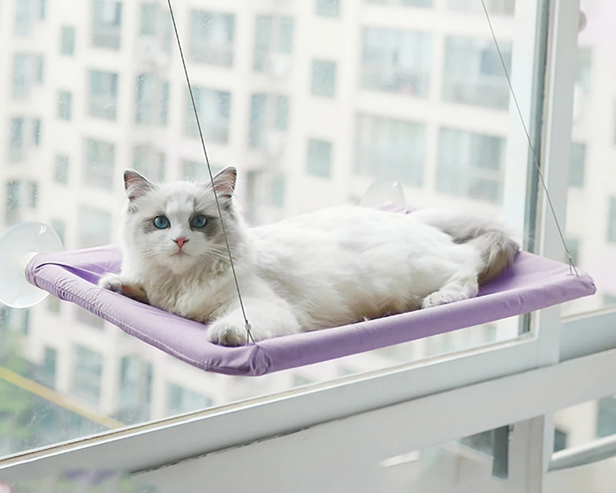 lit hamac de fenêtre pour chat avec ventouses haute adhérence, siège confortable supporte 20kg