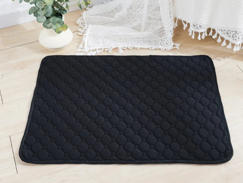 Tapis Absorbant Réutilisable – Chien Senior - Nos Poilus