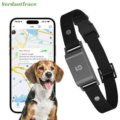 GPS Chien Étanche – Suivi 4G en Direct - Nos Poilus.