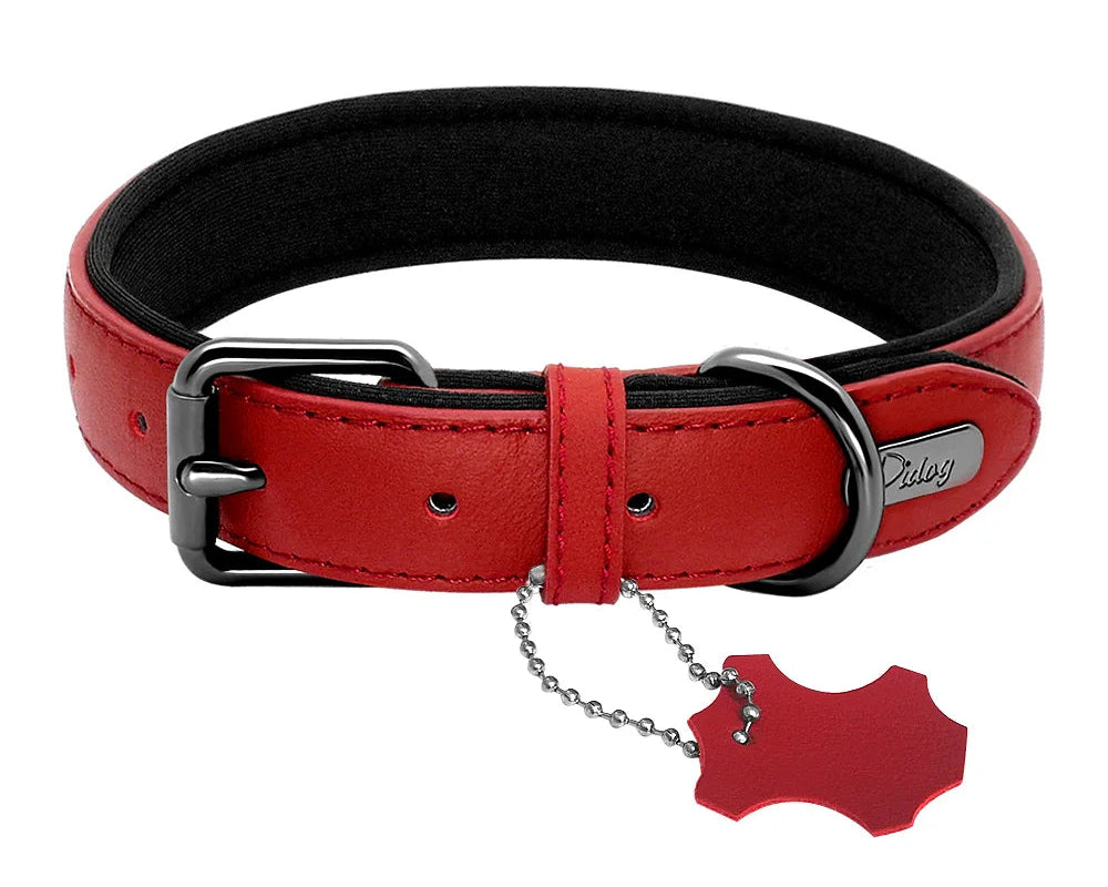Collier de chien rembourré en cuir souple confortable
