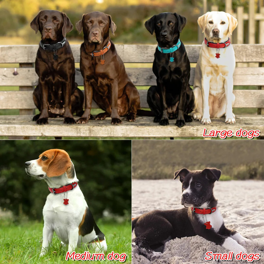 Collier de chien rembourré en cuir souple confortable