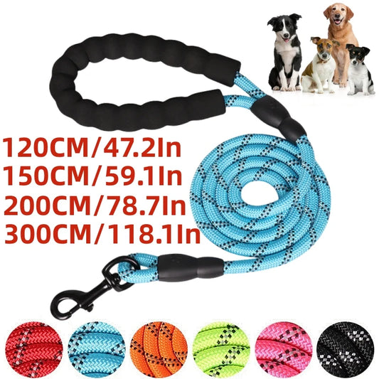 Laisse pour Chien Renforcée avec Poignée Confort | Sécurité Réfléchissante et Durable