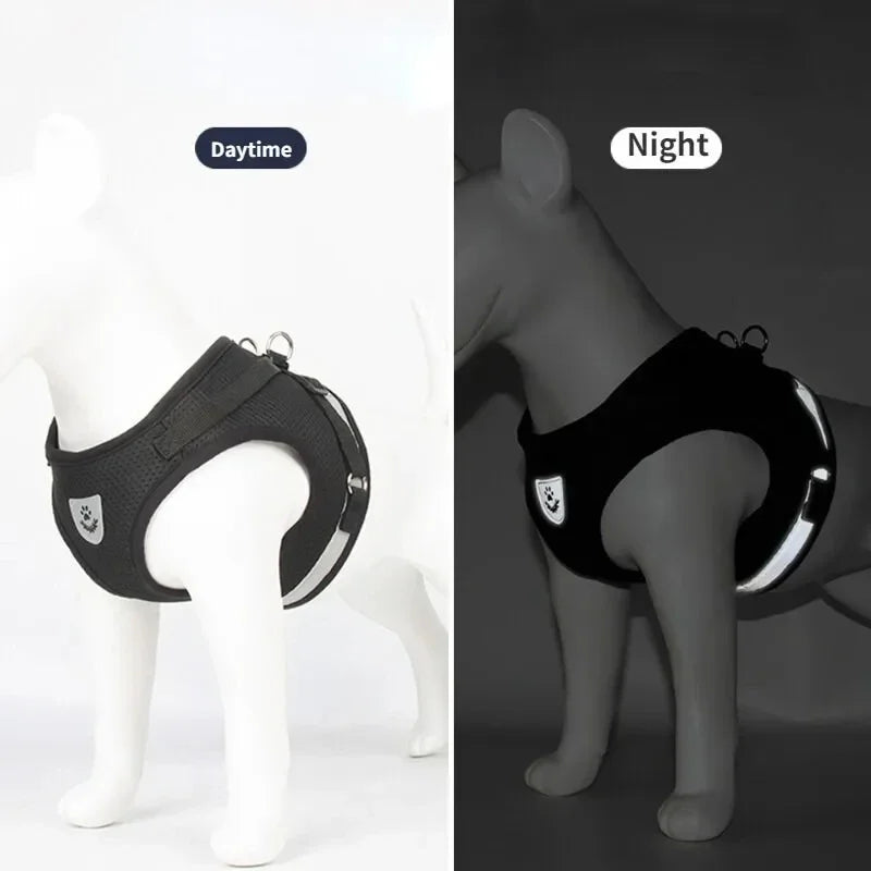 Harnais Confortable pour Chiens de Petite Taille - Nos Poilus