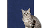 accessoire chat, tapis anti-griffures, auto-adhésif