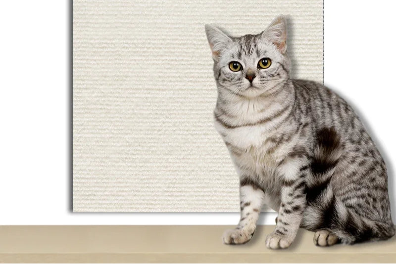 accessoire chat, tapis anti-griffures, auto-adhésif