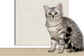 accessoire chat, tapis anti-griffures, auto-adhésif