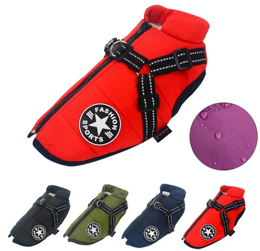 Manteau d’Hiver Doublé – Protection Chien Froid - Nos Poilus