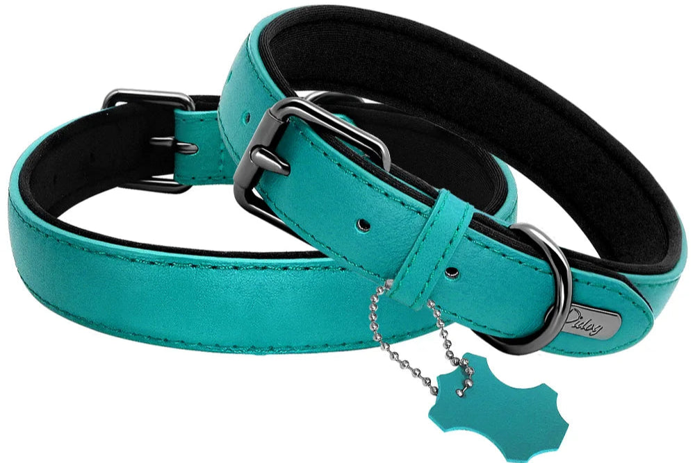 Collier de chien rembourré en cuir souple confortable