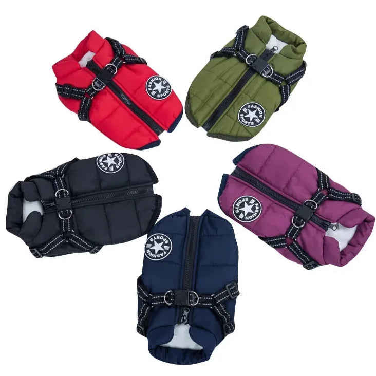 Manteau d’Hiver Doublé – Protection Chien Froid - Nos Poilus