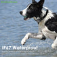 GPS Chien Étanche – Suivi 4G en Direct - Nos Poilus