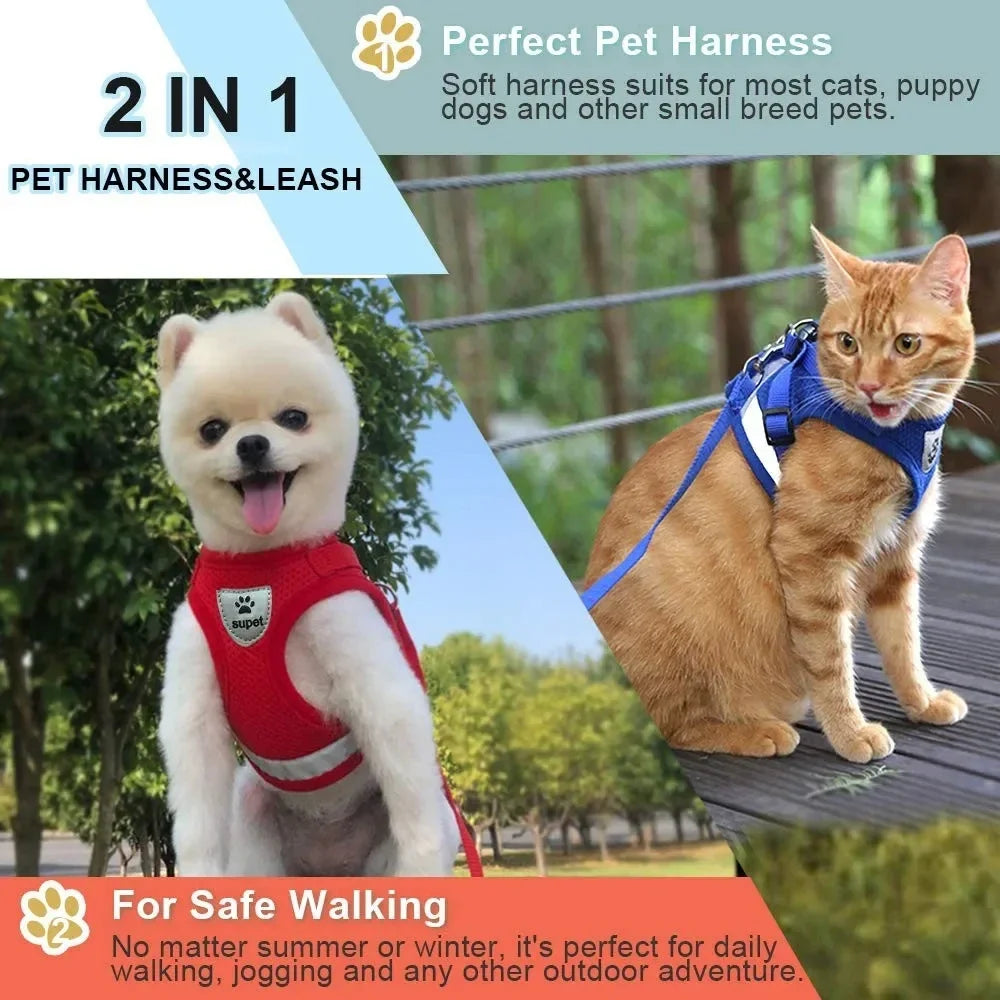 Harnais Confortable pour Chiens de Petite Taille - Nos Poilus