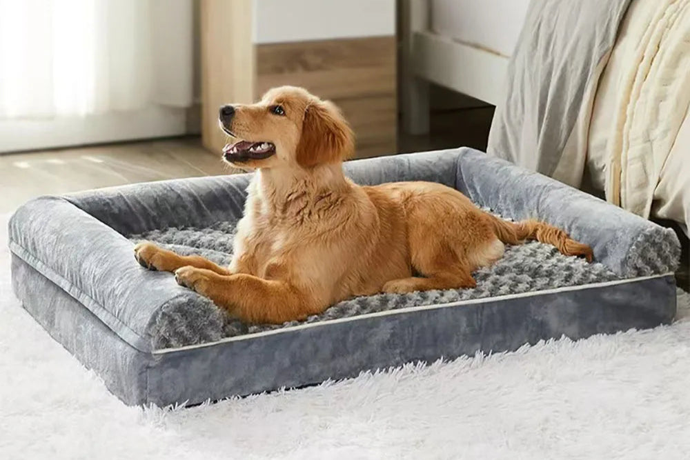 Lit Confort & Soulagement – Mémoire de Forme pour Chiens Nos Poilus