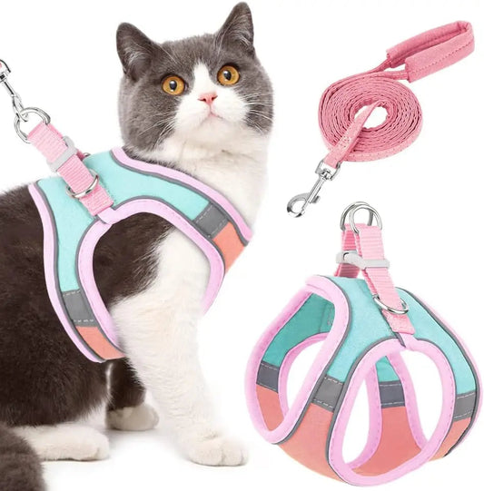 harnais gilet réfléchissant pour petit chat avec laisse assortie – Nos Poilus