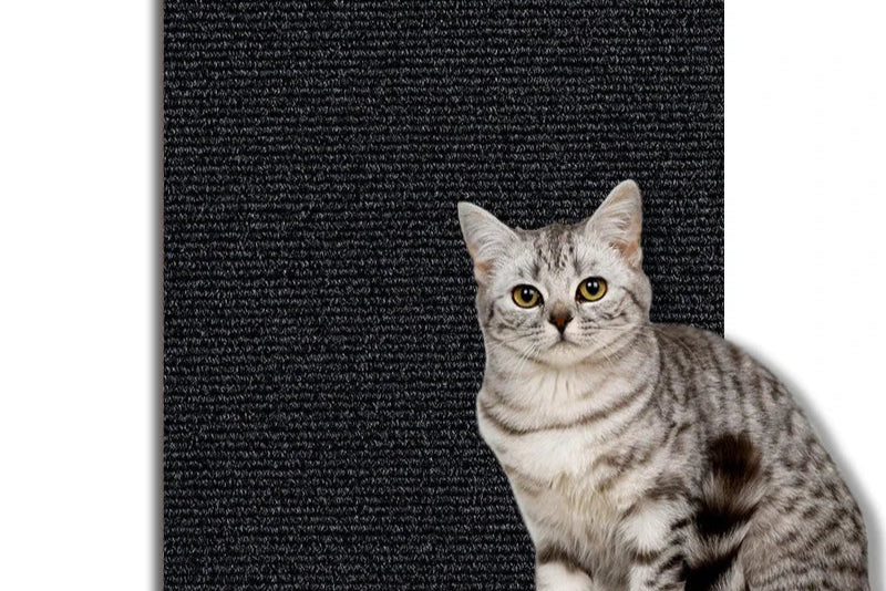 accessoire chat, tapis anti-griffures, auto-adhésif