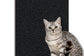 accessoire chat, tapis anti-griffures, auto-adhésif