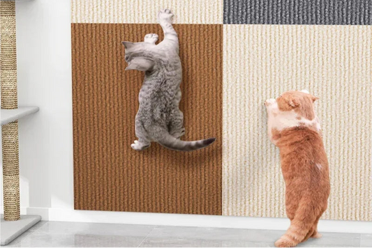 accessoire chat, tapis anti-griffures, auto-adhésif