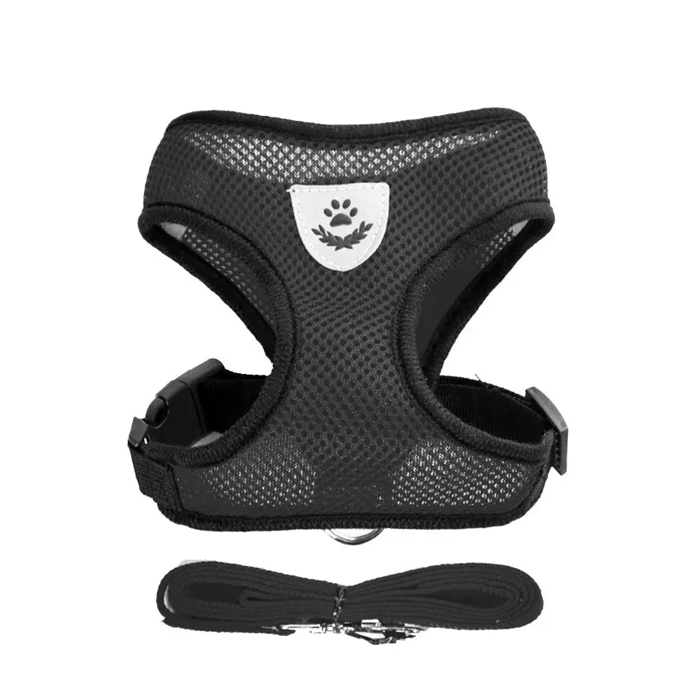 Harnais Confortable pour Chiens de Petite Taille - Nos Poilus