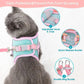 harnais gilet réfléchissant pour petit chat avec laisse assortie – Nos Poilus