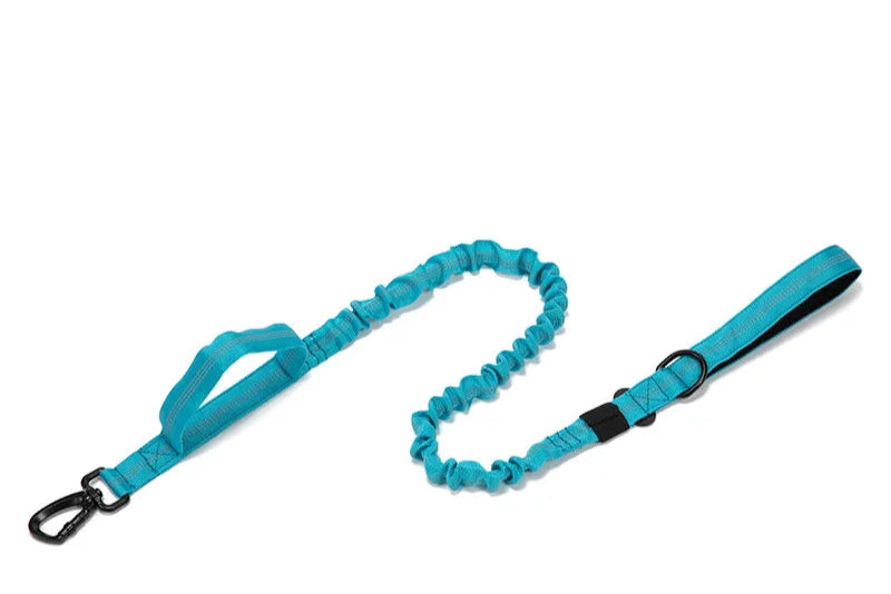 Laisse et collier a poignée ensemble réfléchissant